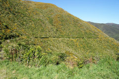 
Prices Tunnel to Siberia looking South, September 2009